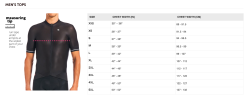 Felt Bicycles Felt Short-Sleeve Scatto Pro Standard Fit Jersey Grey - Men's -Felt Bicycles Sales ScreenShot2021 11 30at2.02.44PM
